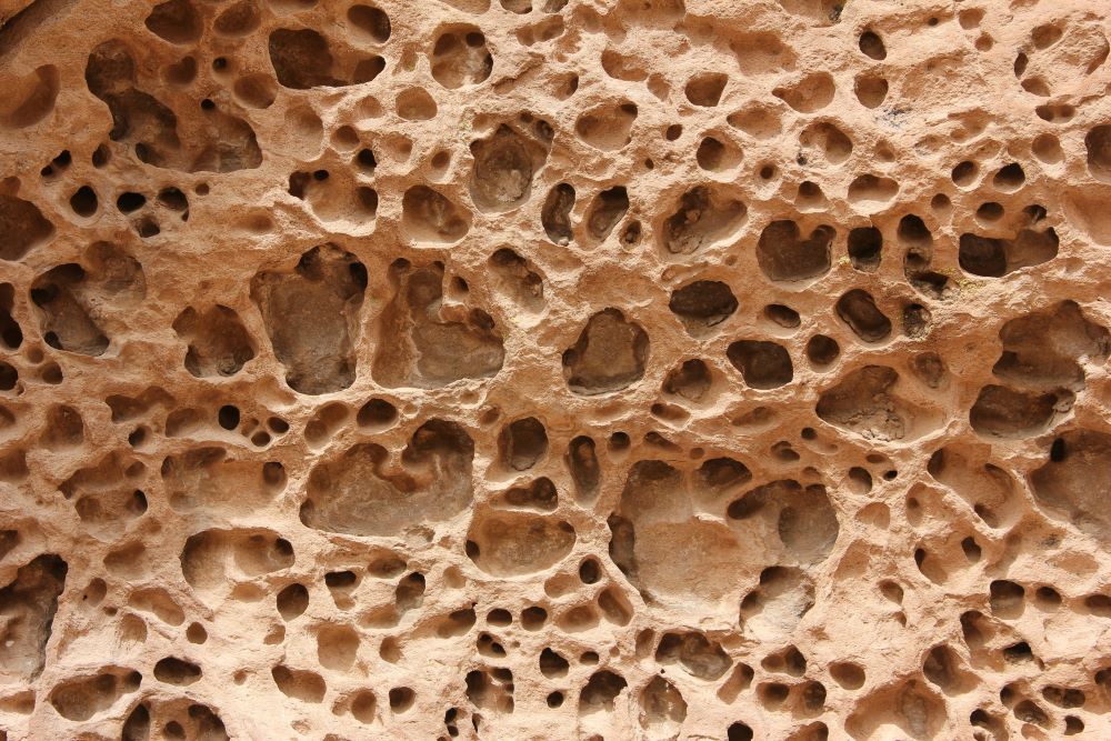osteoporosis prevention with hormones